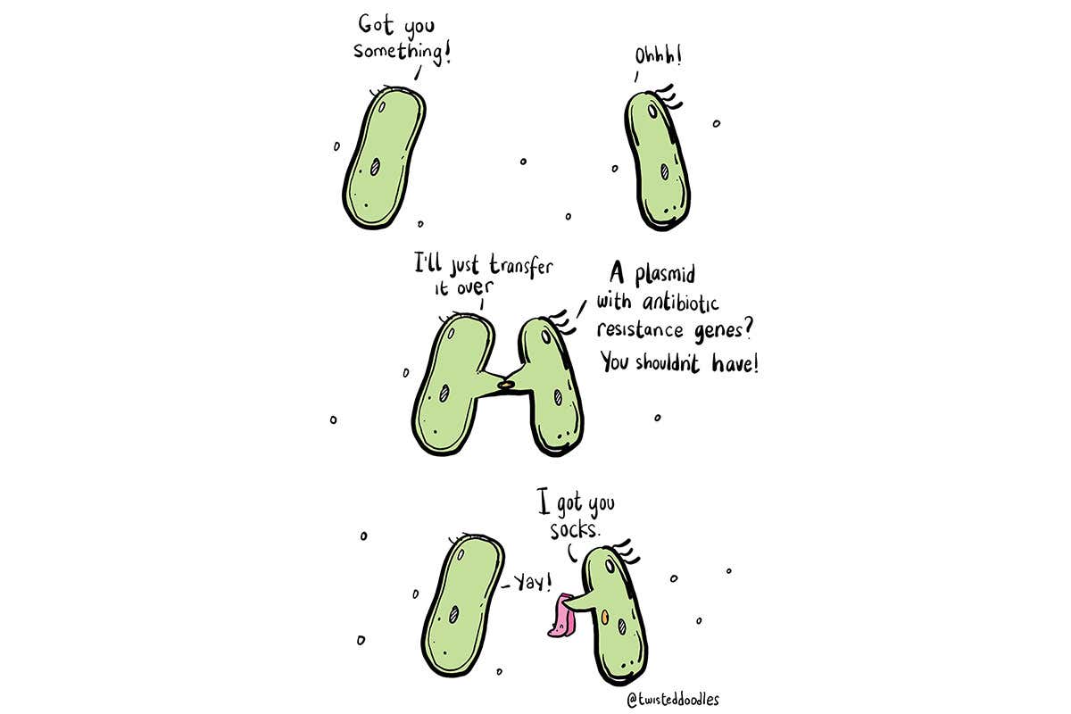 Twisteddoodles on when cells exchange gifts