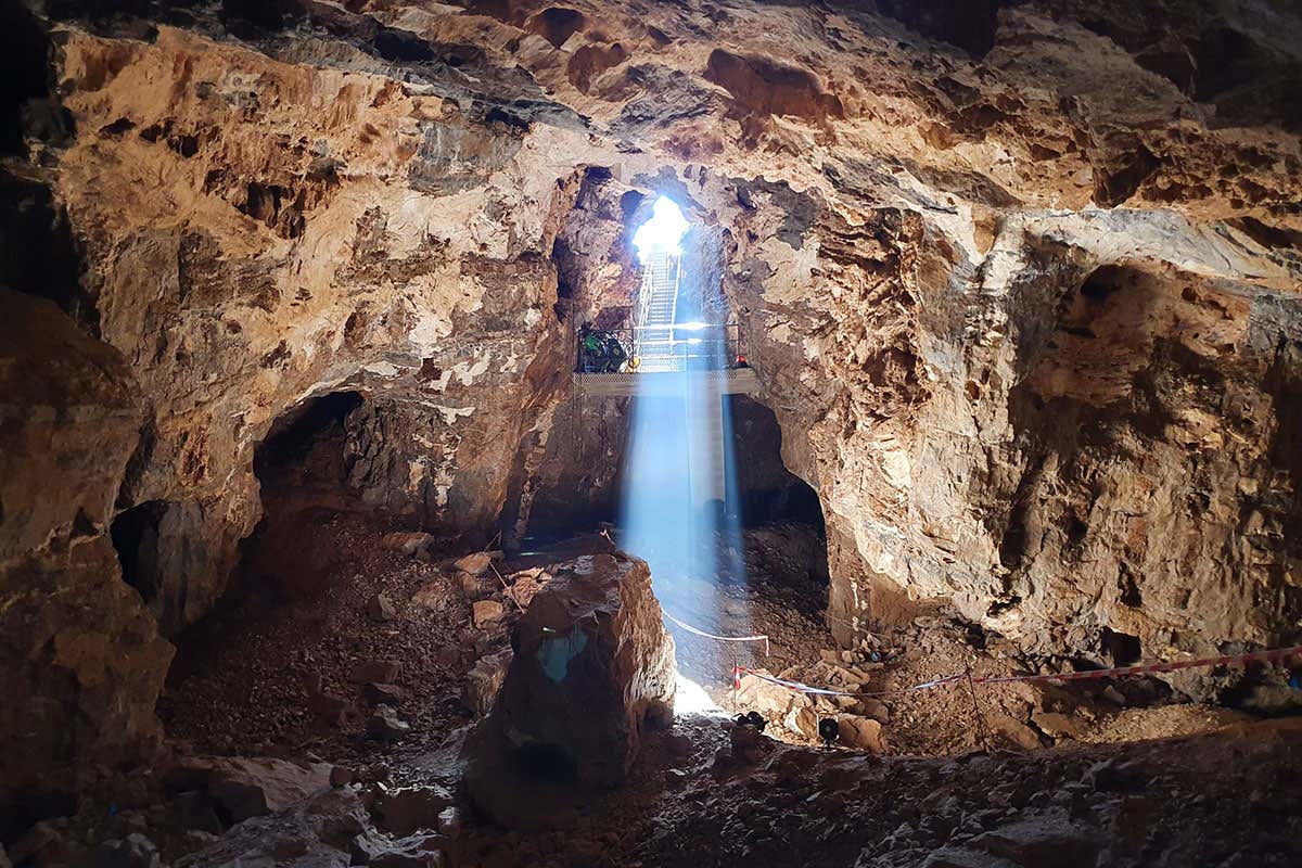 New Scientist. Science news and long reads from expert journalists, covering developments in science, technology, health and the environment on the website and the magazine.