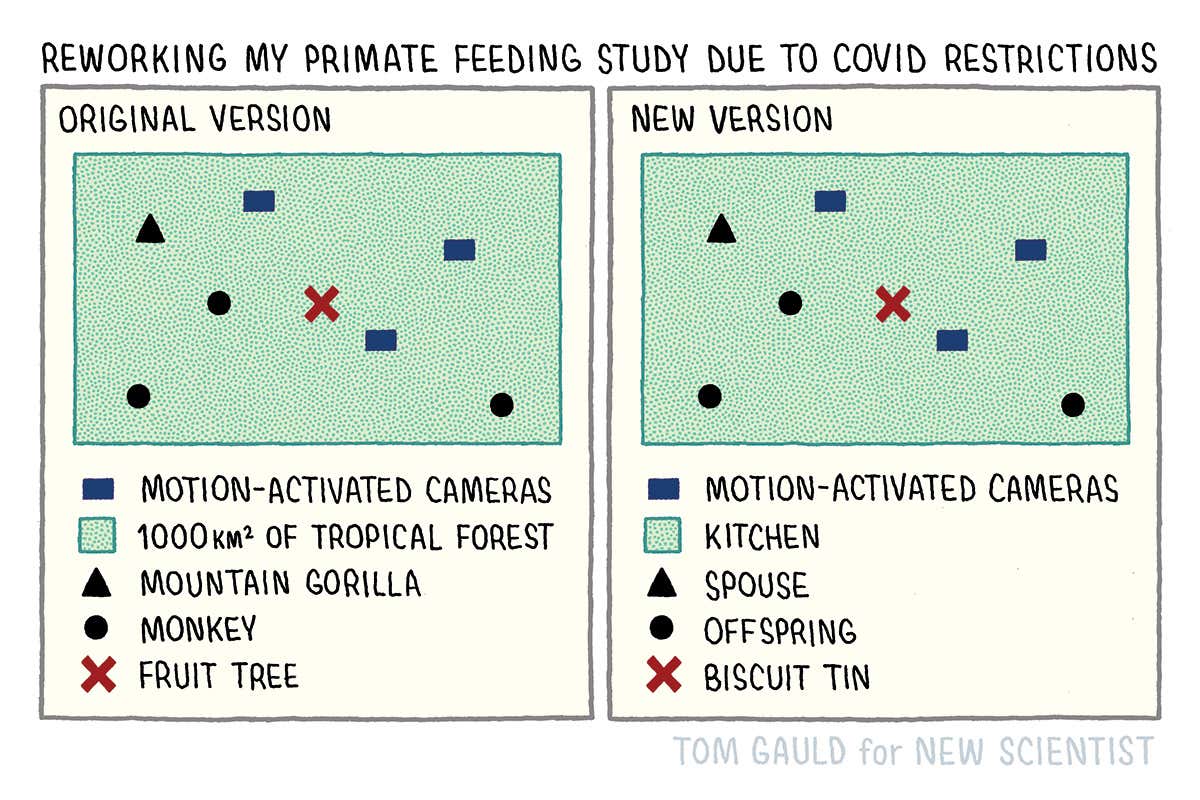 New Scientist. Science news and long reads from expert journalists, covering developments in science, technology, health and the environment on the website and the magazine.