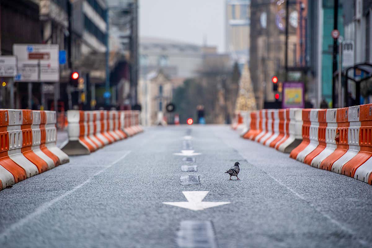 A pigeon on an empty Deansgate in Manchester, UK