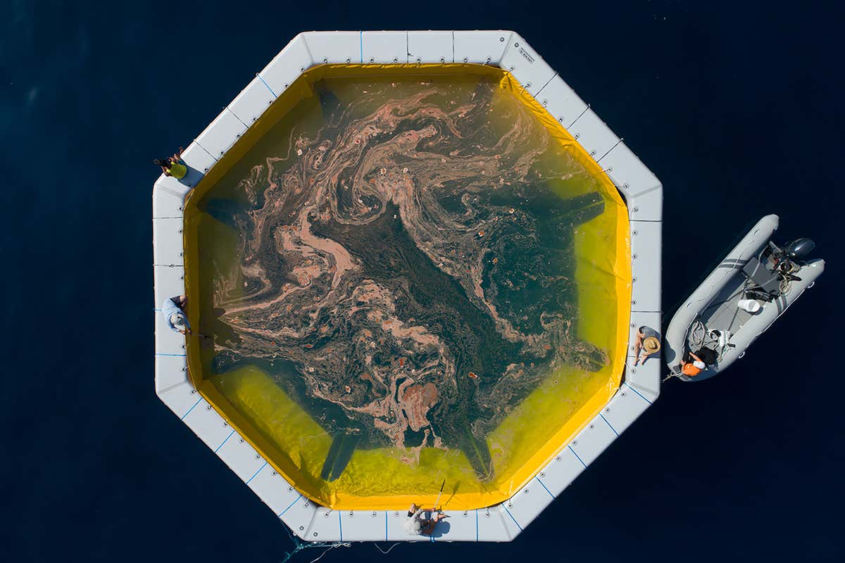 Inside the fight to save the Great Barrier Reef from climate change