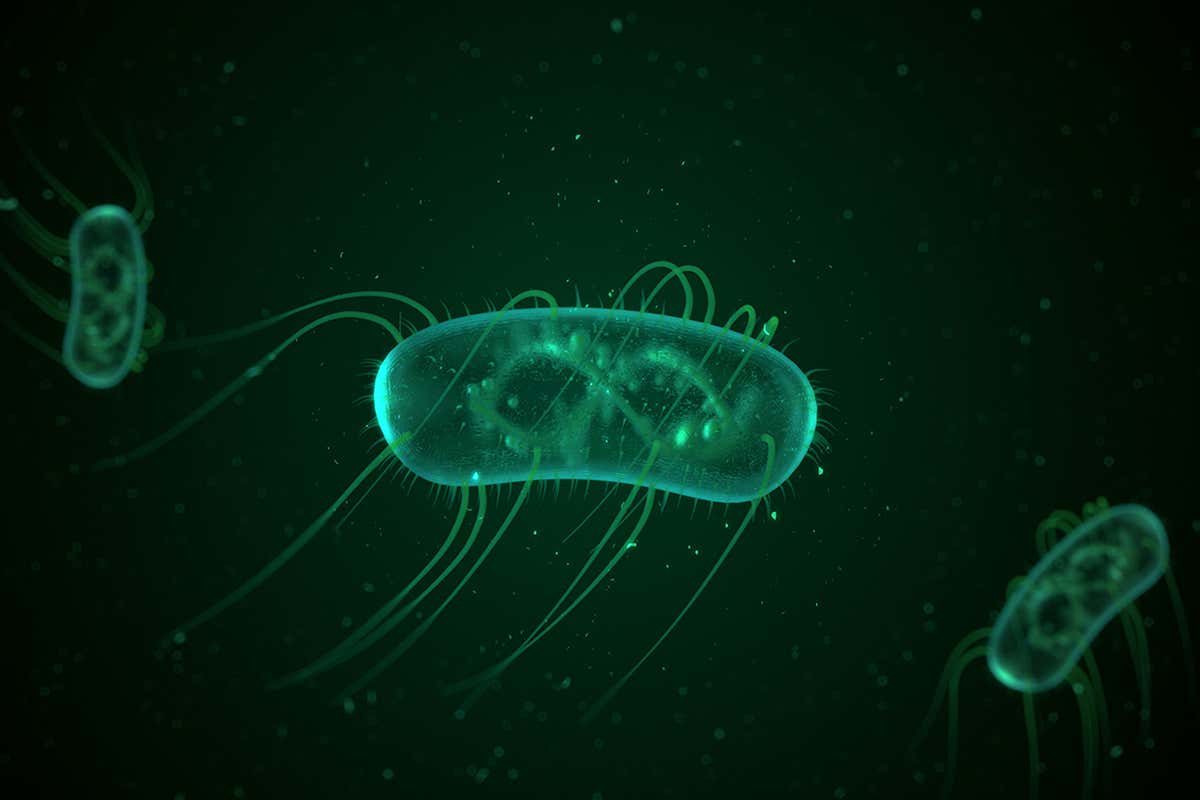 New Scientist. Science news and long reads from expert journalists, covering developments in science, technology, health and the environment on the website and the magazine.