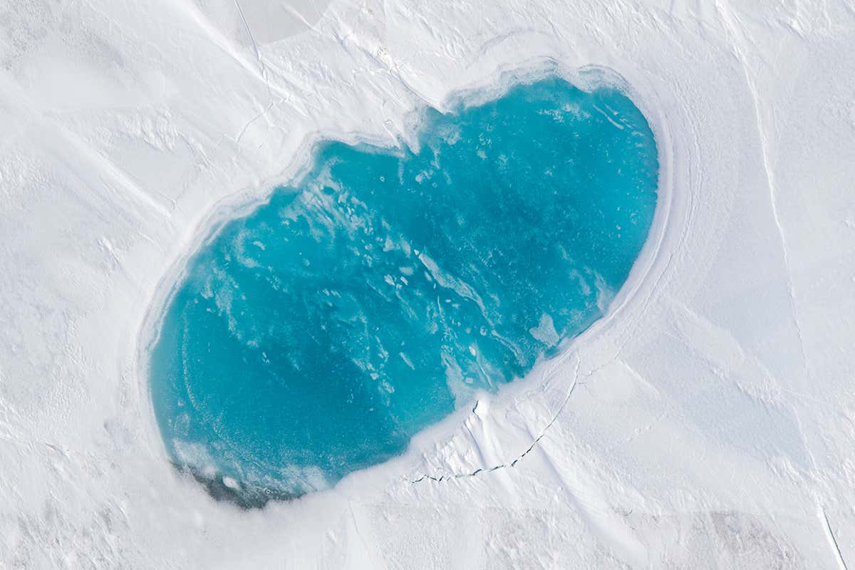 Microplastics found across the Arctic may be fibres from laundry