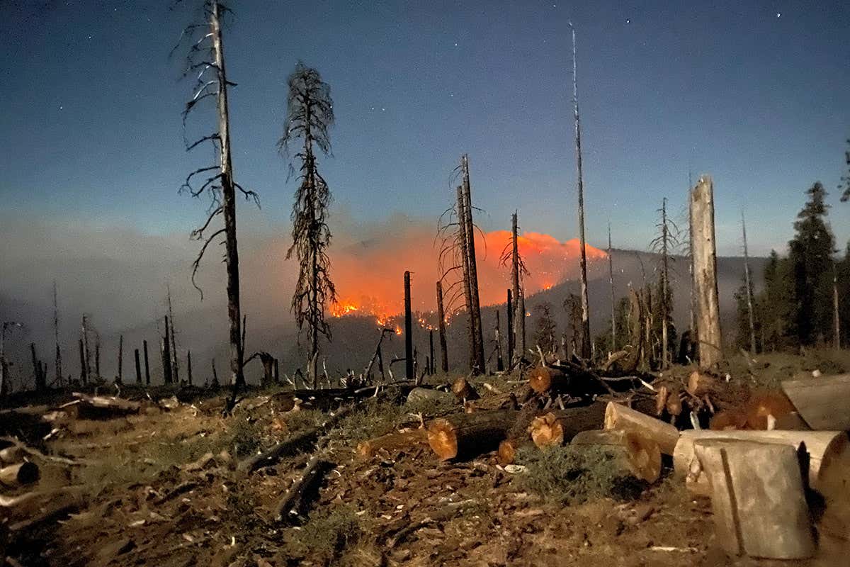 Podcast goes behind the scenes in the battle to mitigate wildfires