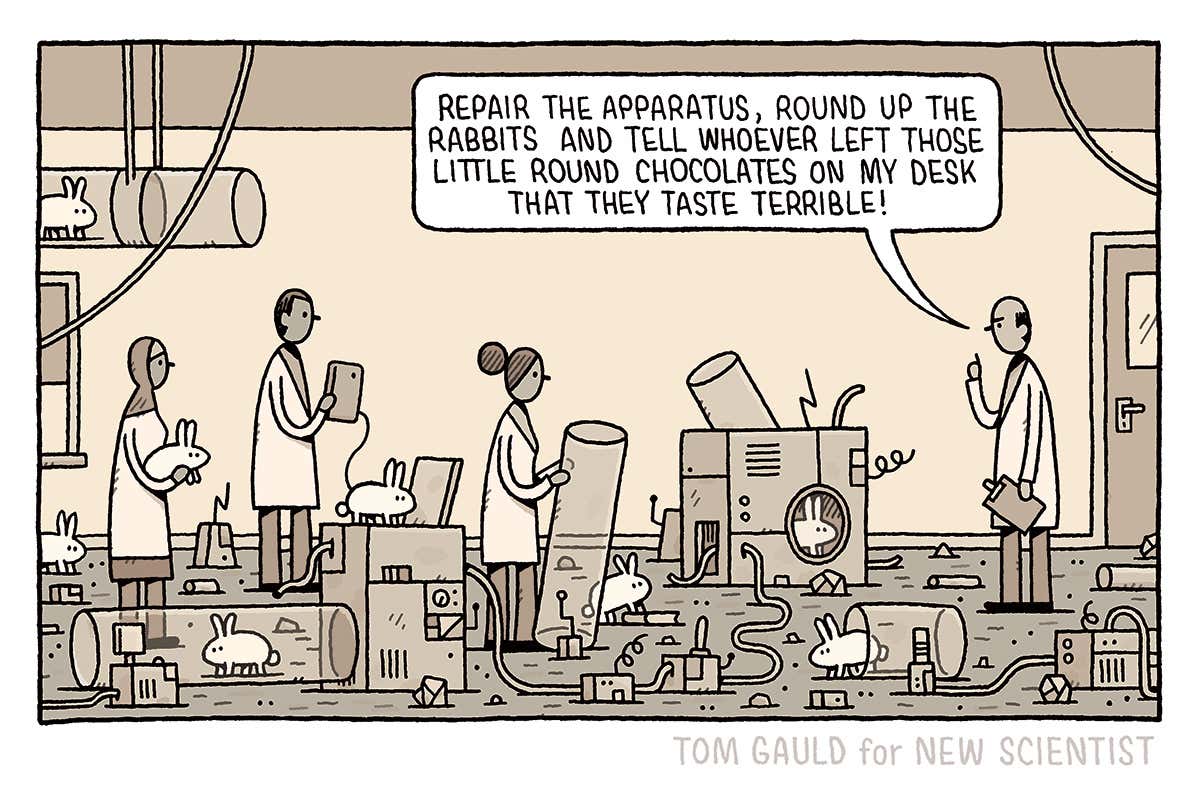 Tom Gauld on a suspicious set of round chocolates