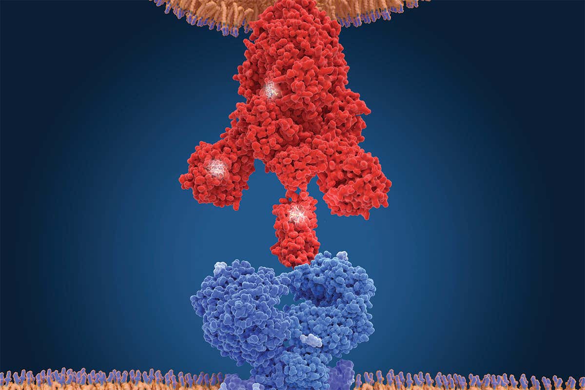 New Scientist. Science news and long reads from expert journalists, covering developments in science, technology, health and the environment on the website and the magazine.