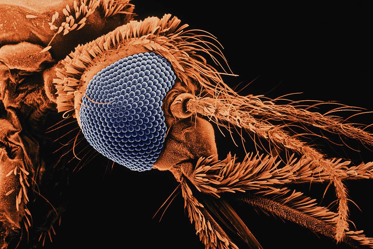 New Scientist. Science news and long reads from expert journalists, covering developments in science, technology, health and the environment on the website and the magazine.