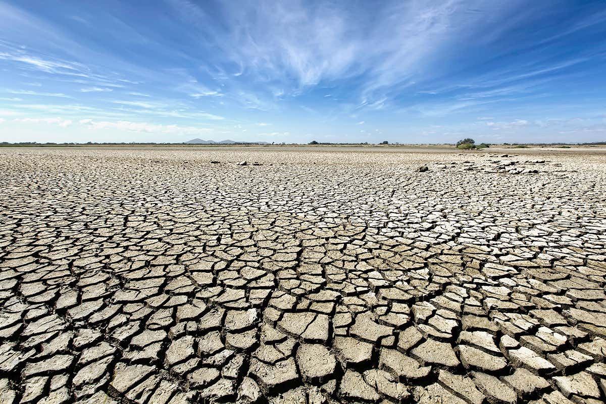 Parched soil