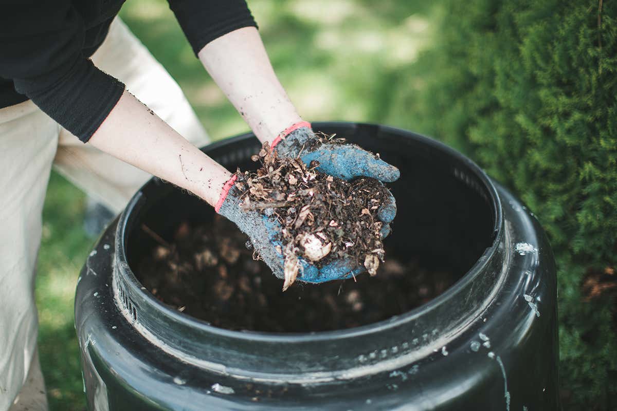 How to make compost – your scientific guide