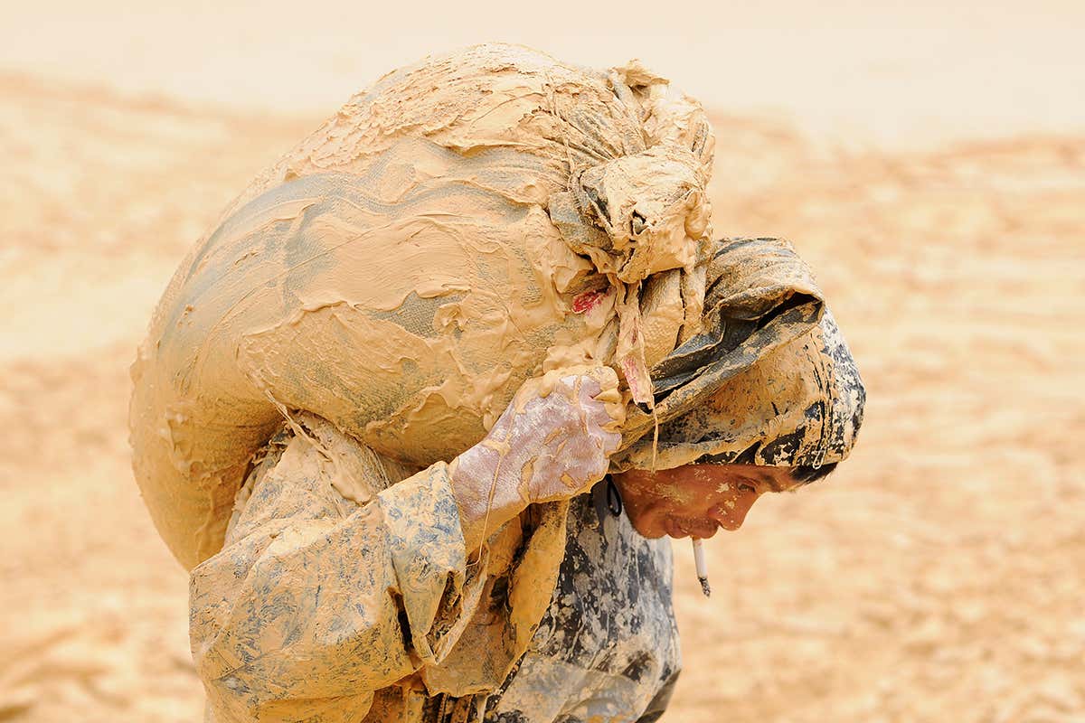 New Scientist. Science news and long reads from expert journalists, covering developments in science, technology, health and the environment on the website and the magazine.