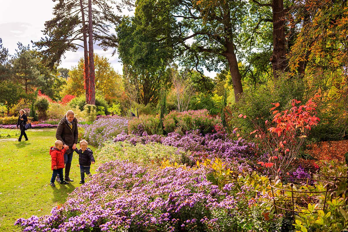 No, native plants aren't always the best choice for gardens