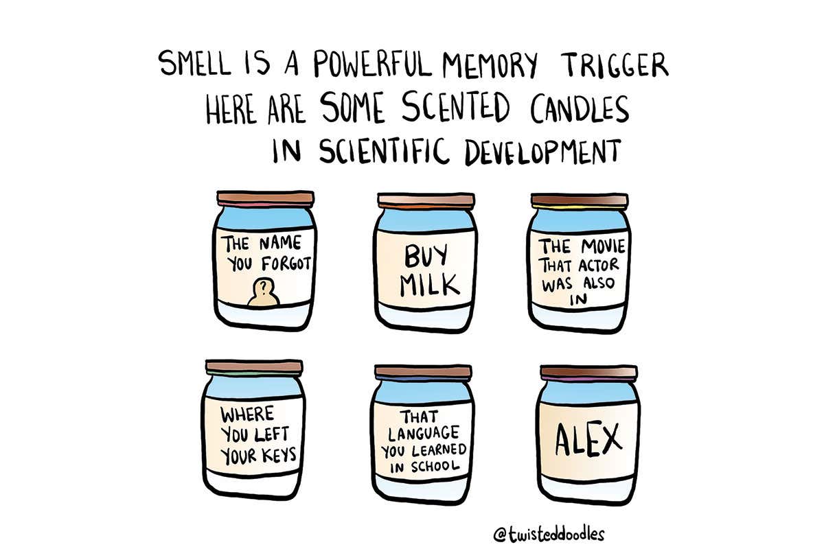 Twisteddoodle's ideas for scented candles in scientific development