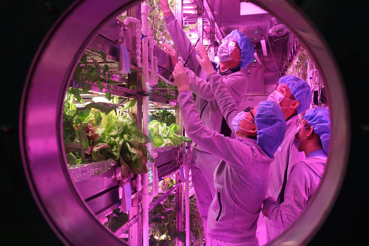 Crew of mock lunar 'biosphere' grew food and made oxygen for 200 days