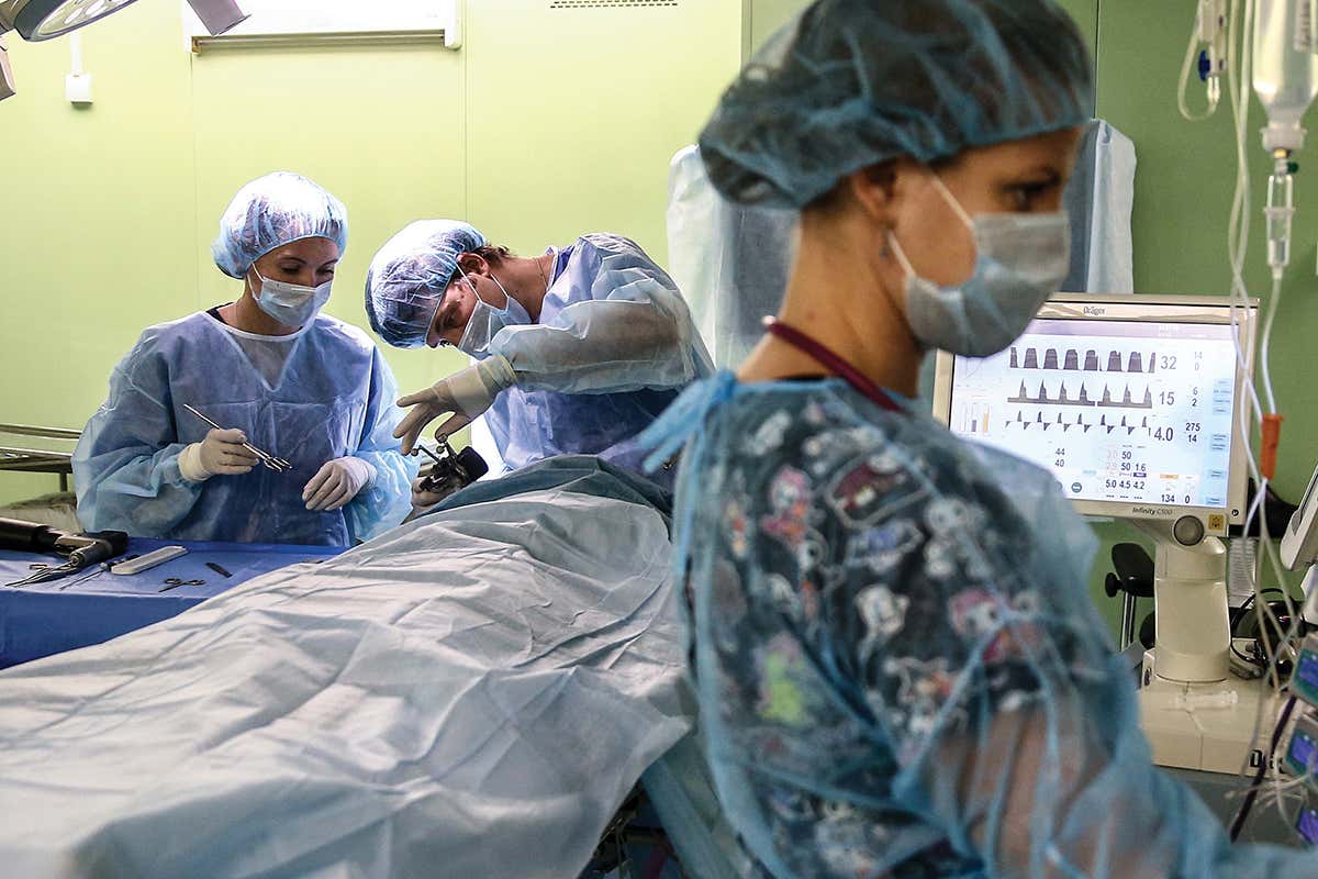 How to be an expert: What does it really take to master your trade?