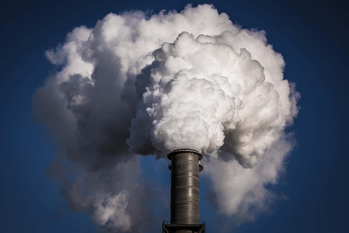 New Scientist. Science news and long reads from expert journalists, covering developments in science, technology, health and the environment on the website and the magazine.