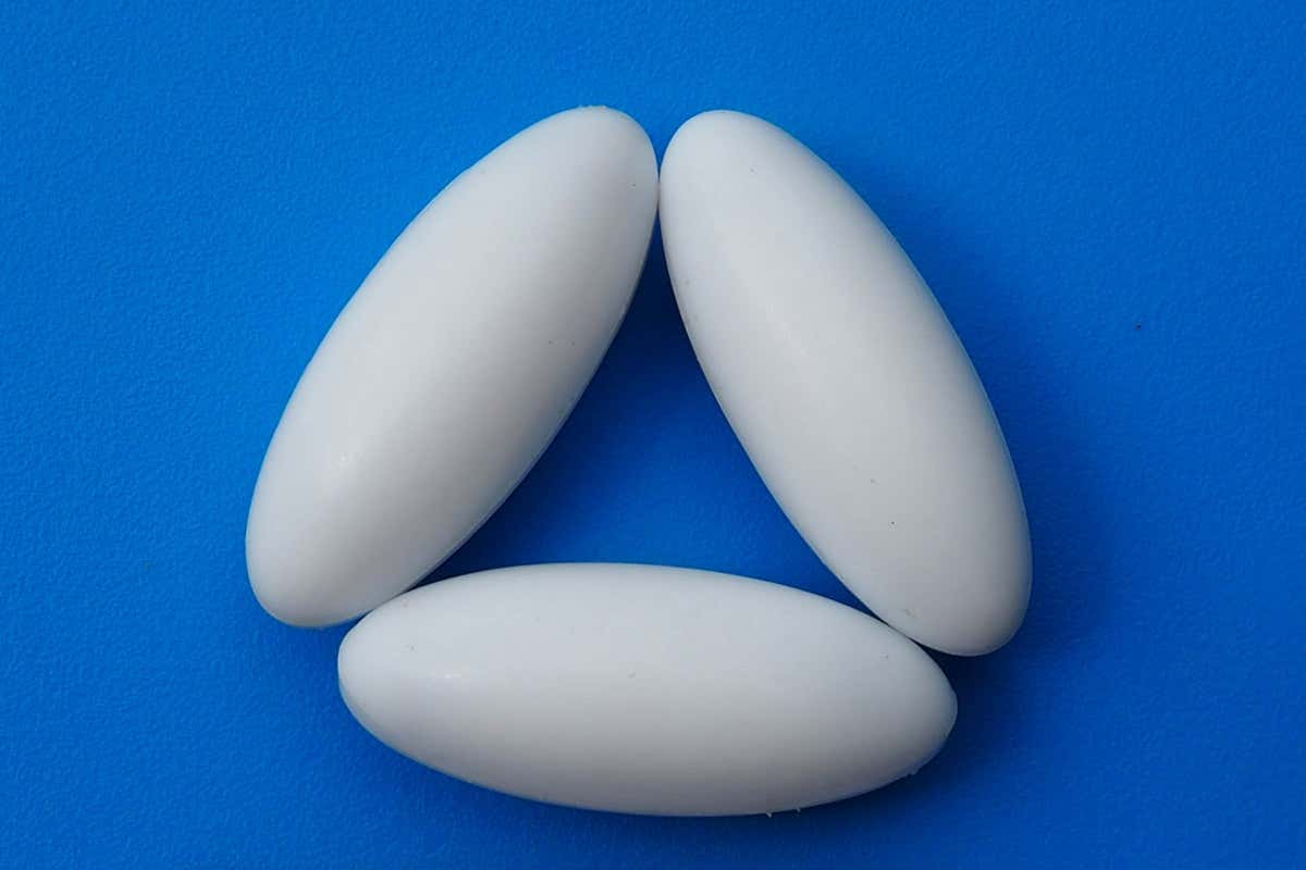 Device that self-assembles in the uterus could limit wild horse births