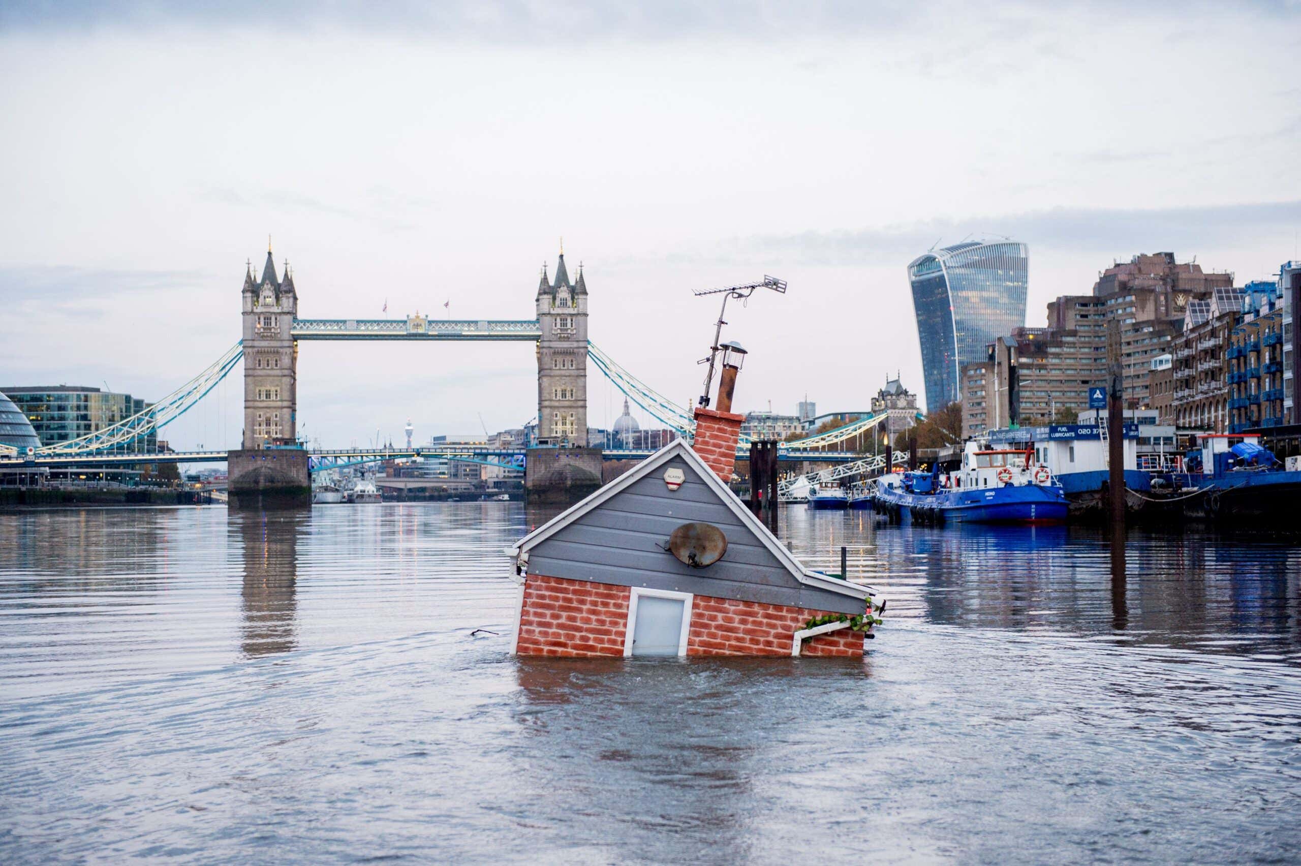 Net zero has taken the world by storm in a rare climate win