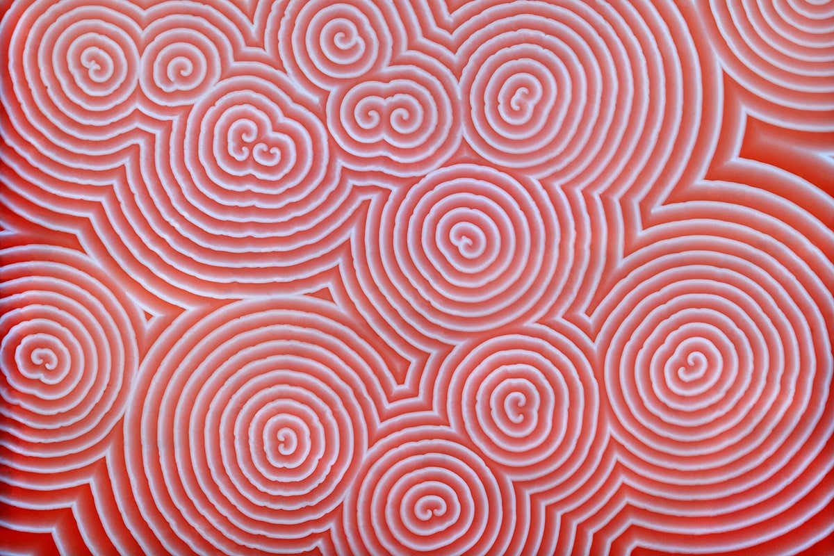 New Scientist. Science news and long reads from expert journalists, covering developments in science, technology, health and the environment on the website and the magazine.