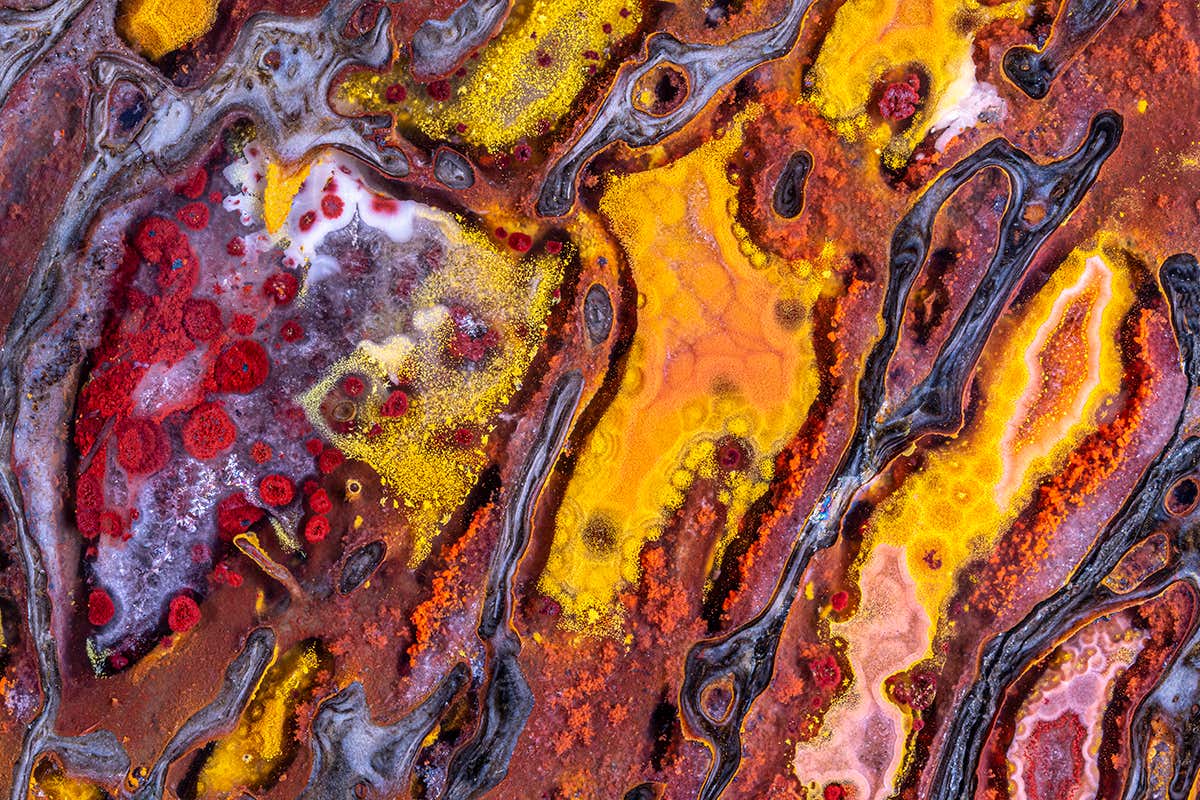 New Scientist. Science news and long reads from expert journalists, covering developments in science, technology, health and the environment on the website and the magazine.