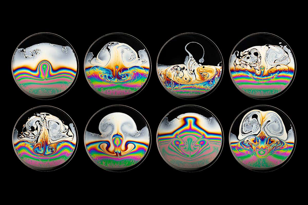 New Scientist. Science news and long reads from expert journalists, covering developments in science, technology, health and the environment on the website and the magazine.