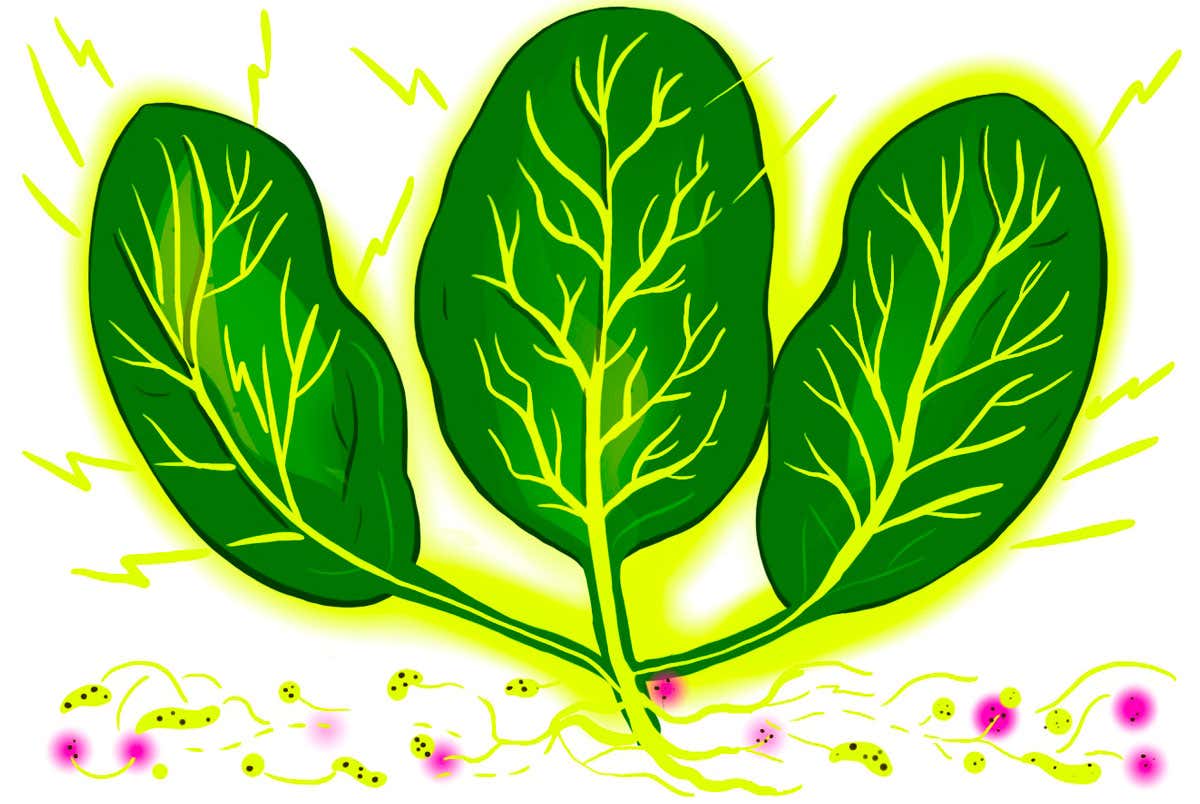 New Scientist. Science news and long reads from expert journalists, covering developments in science, technology, health and the environment on the website and the magazine.