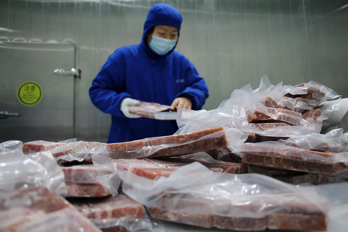 A worker in China wearing protective clothing packages frozen beef