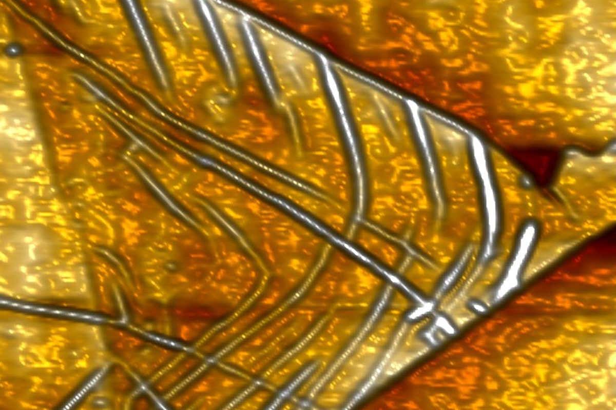 Nano origami with molybdenum disulfide