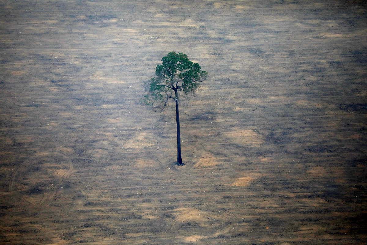 New Scientist. Science news and long reads from expert journalists, covering developments in science, technology, health and the environment on the website and the magazine.