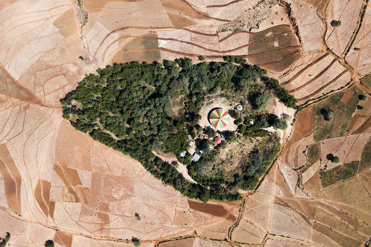 New Scientist. Science news and long reads from expert journalists, covering developments in science, technology, health and the environment on the website and the magazine.