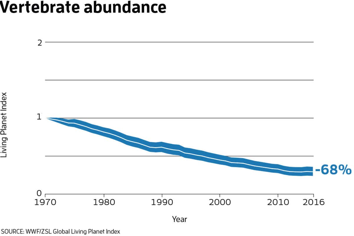 New Scientist. Science news and long reads from expert journalists, covering developments in science, technology, health and the environment on the website and the magazine.