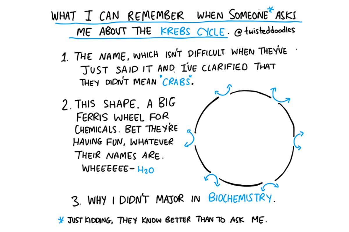 Twisteddoodles is asked about the Krebs cycle
