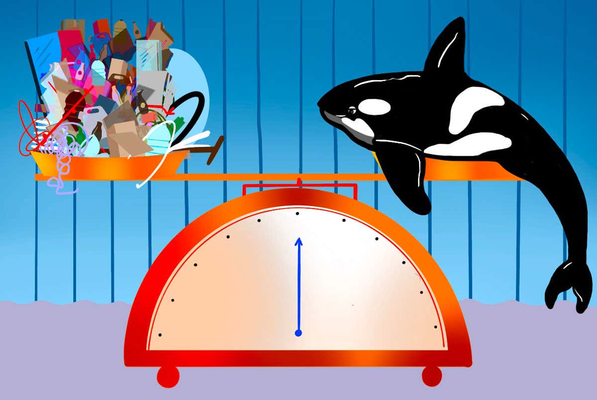 The weirdest ways to measure a shop’s recycling efforts