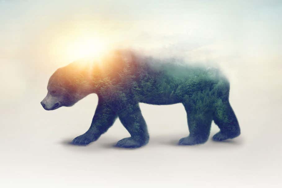 Rescue plan for nature: How to fix the biodiversity crisis