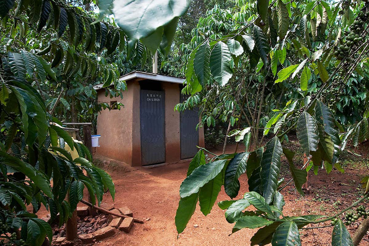 A pit latrine toilet in Kayunga District, Uganda