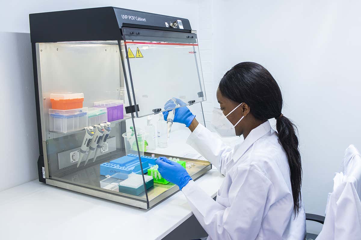 A lab technician uses a PCR test on a sample to identify the presence of coronavirus