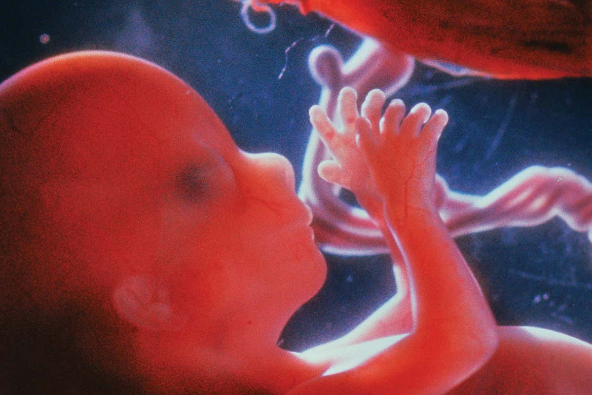 New Scientist. Science news and long reads from expert journalists, covering developments in science, technology, health and the environment on the website and the magazine.