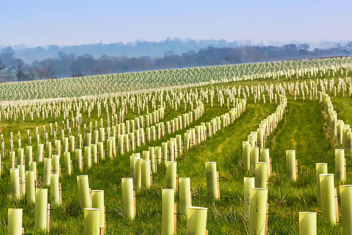 What could we do for the climate and health if money were no object?