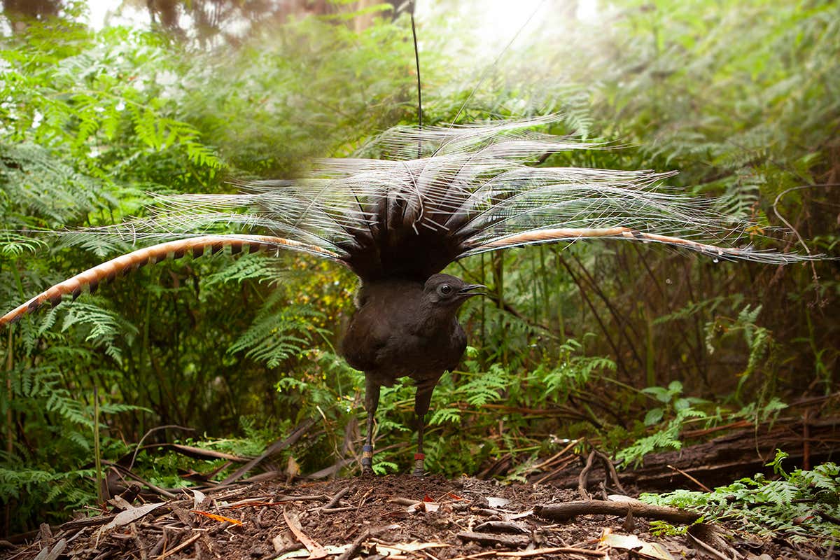 New Scientist. Science news and long reads from expert journalists, covering developments in science, technology, health and the environment on the website and the magazine.