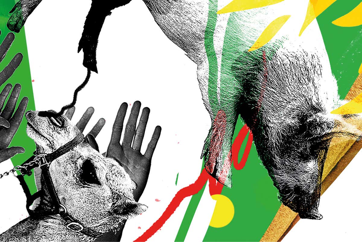 New Scientist. Science news and long reads from expert journalists, covering developments in science, technology, health and the environment on the website and the magazine.