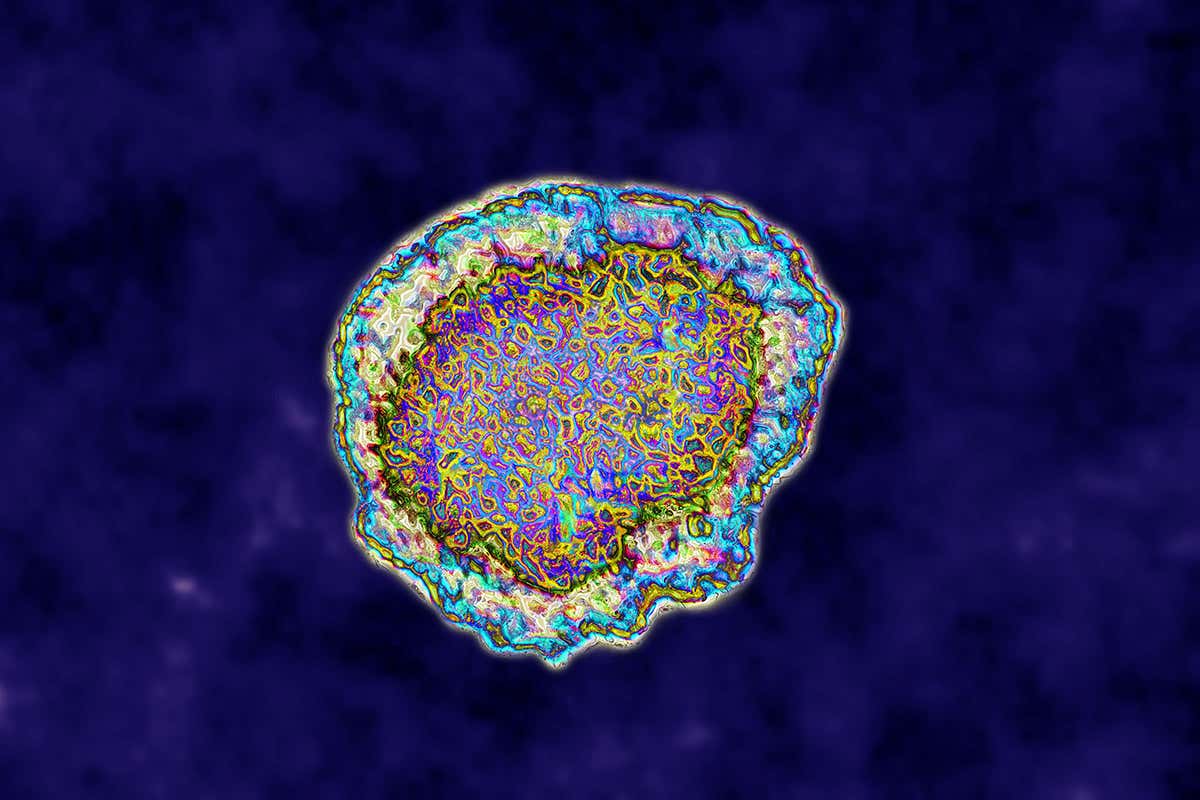 New Scientist. Science news and long reads from expert journalists, covering developments in science, technology, health and the environment on the website and the magazine.