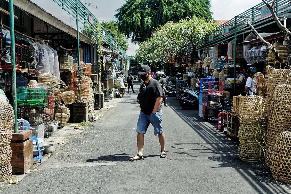 New Scientist. Science news and long reads from expert journalists, covering developments in science, technology, health and the environment on the website and the magazine.