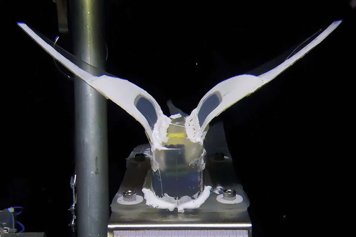 New Scientist. Science news and long reads from expert journalists, covering developments in science, technology, health and the environment on the website and the magazine.