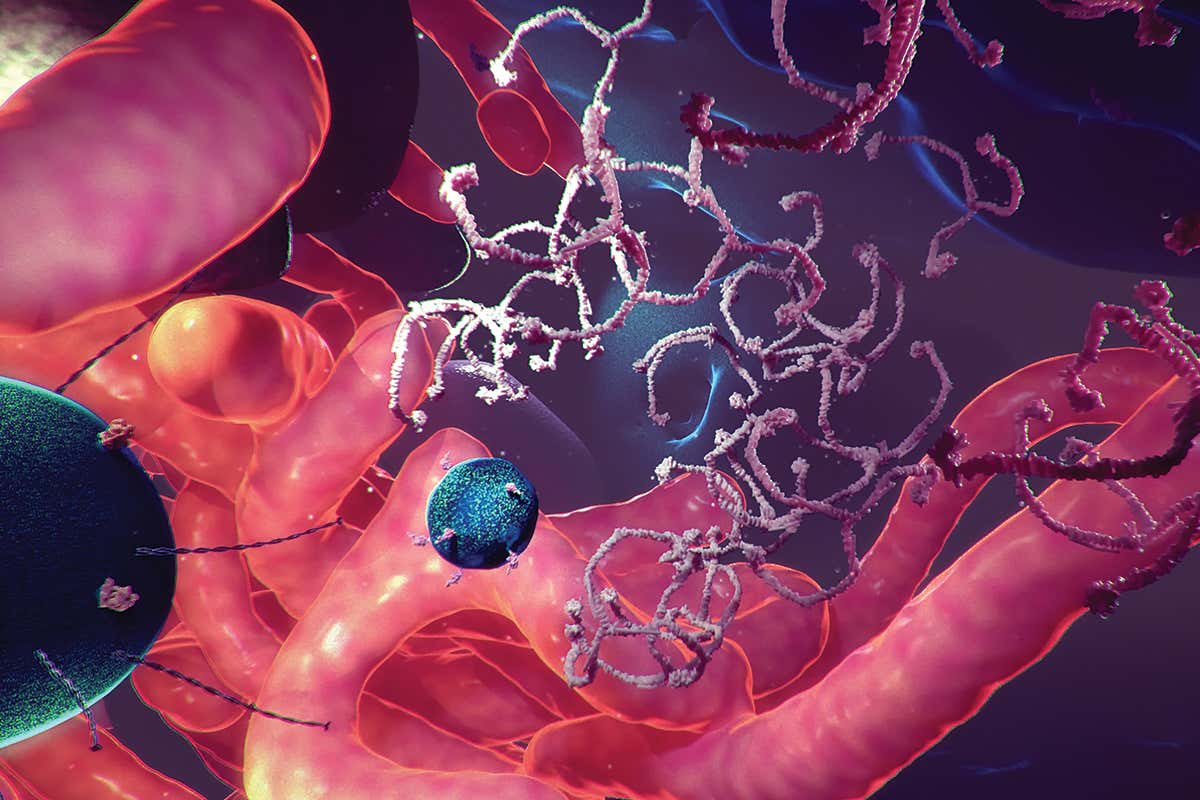 New Scientist. Science news and long reads from expert journalists, covering developments in science, technology, health and the environment on the website and the magazine.