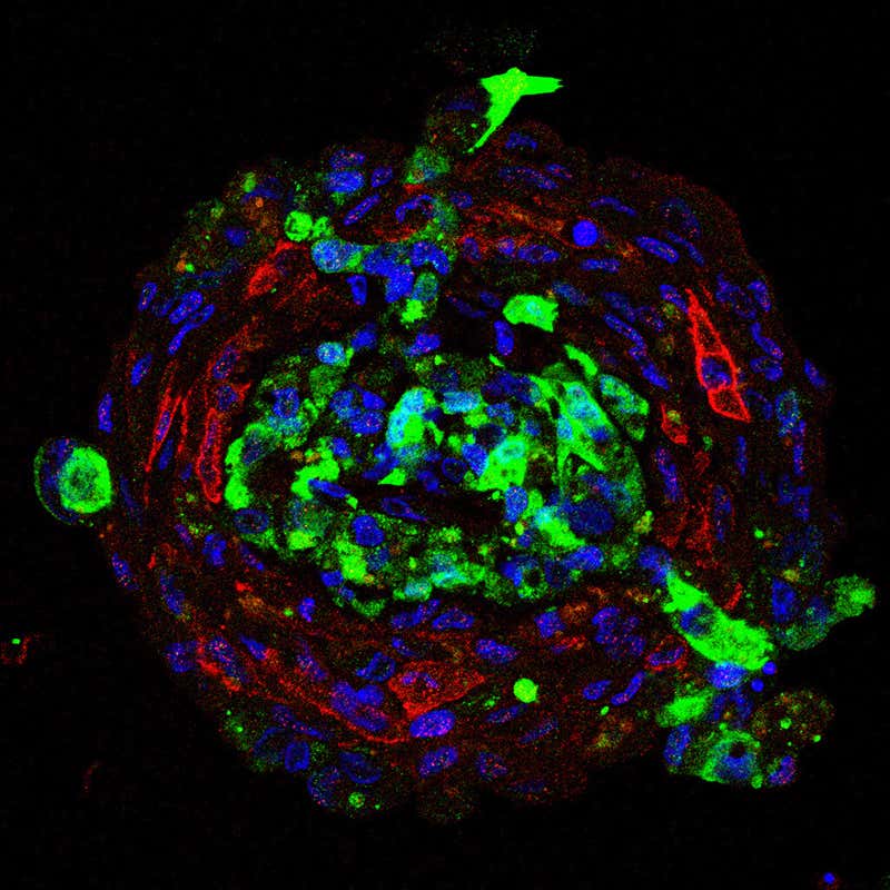 New Scientist. Science news and long reads from expert journalists, covering developments in science, technology, health and the environment on the website and the magazine.