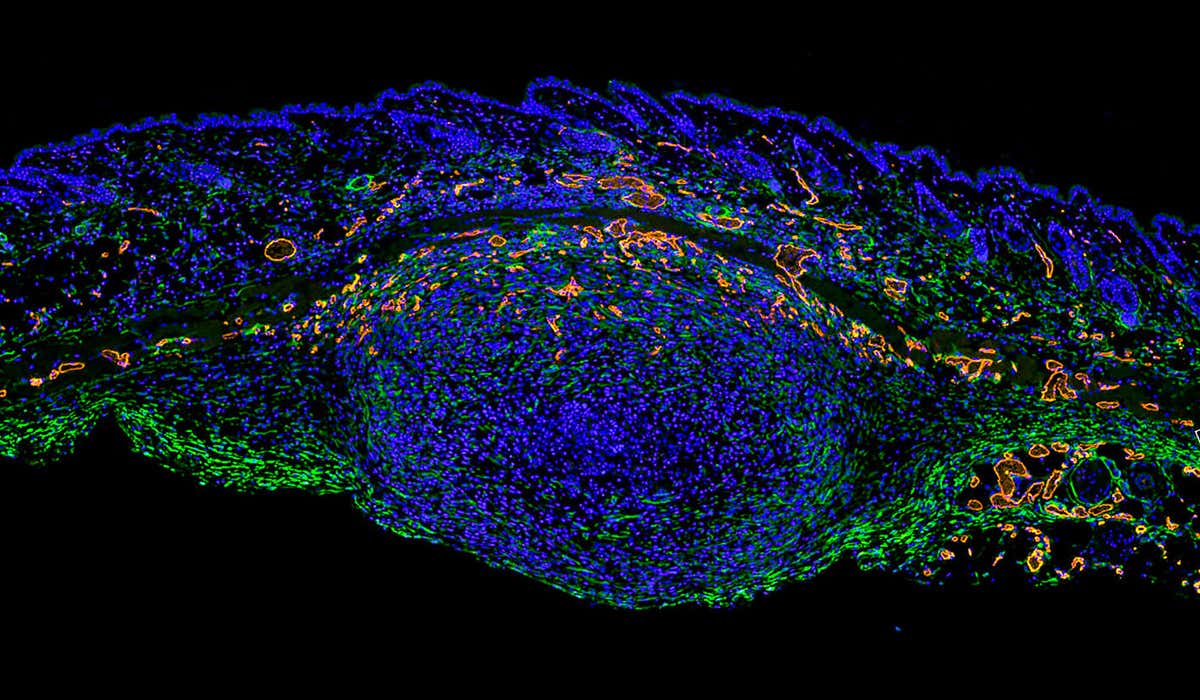 New Scientist. Science news and long reads from expert journalists, covering developments in science, technology, health and the environment on the website and the magazine.