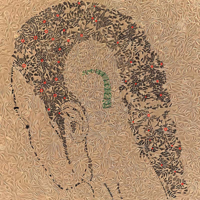 New Scientist. Science news and long reads from expert journalists, covering developments in science, technology, health and the environment on the website and the magazine.