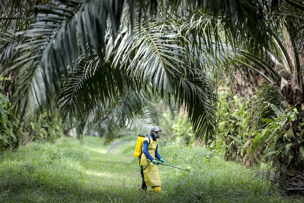 The covid-19 pandemic makes plain the consequences of abusing nature