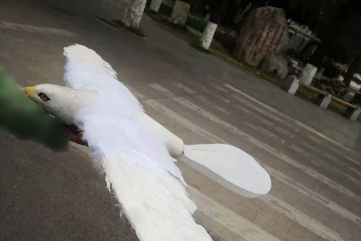 Eagle-inspired robot flies by flapping its feather-covered wings