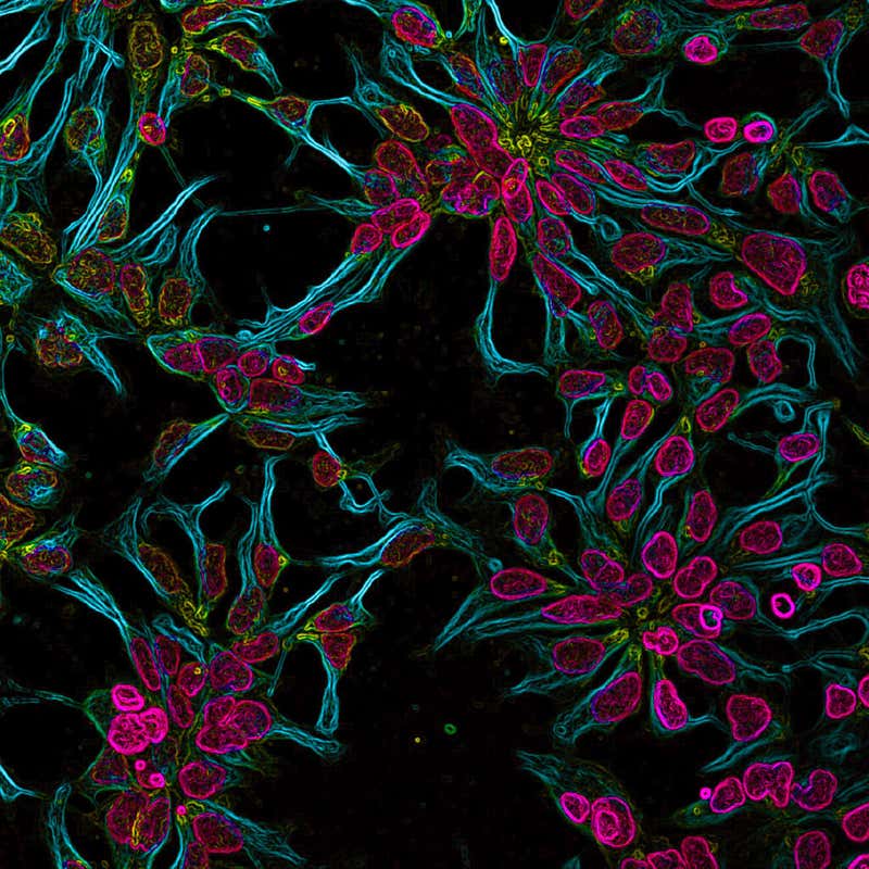 New Scientist. Science news and long reads from expert journalists, covering developments in science, technology, health and the environment on the website and the magazine.