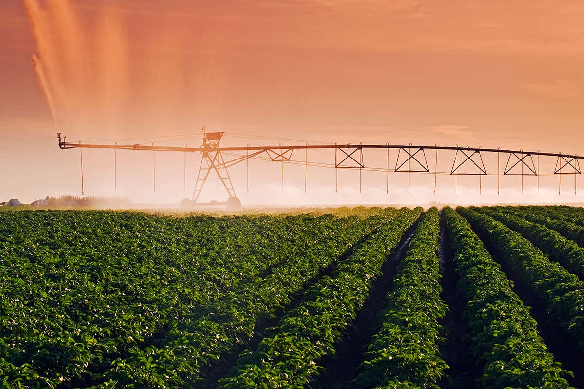crop irrigation